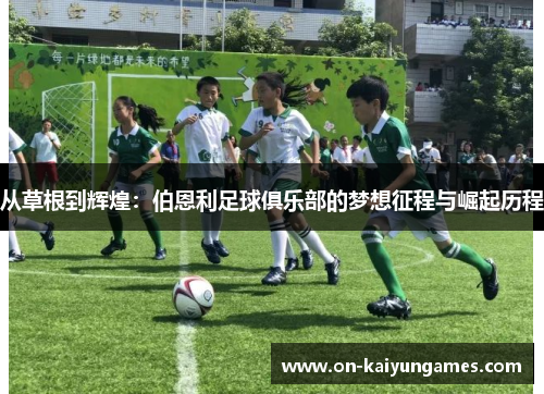 从草根到辉煌：伯恩利足球俱乐部的梦想征程与崛起历程