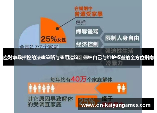 应对家暴指控的法律策略与实用建议：保护自己与维护权益的全方位指南